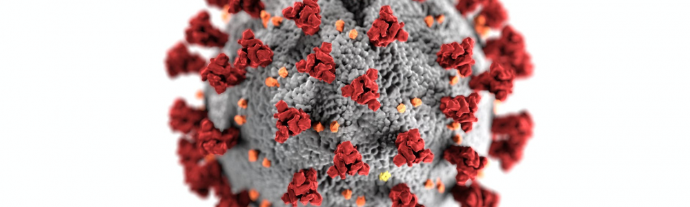 Covid-19 virus